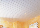 Hygienic Ceiling