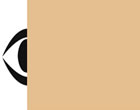 Caramel Gold 5py0 Perspex Pearlescent Acrylic Sheet|Gold 5PY0.jpg|